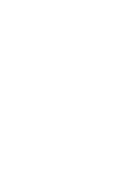 BIG logo