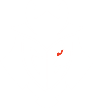 G2 Esports logo