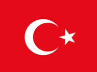 Team Türkiye logo